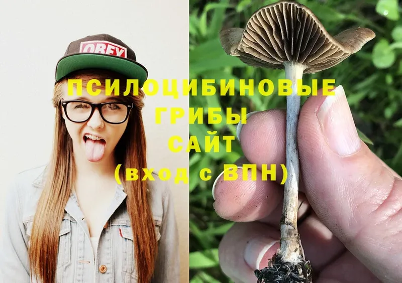 Галлюциногенные грибы Magic Shrooms  блэк спрут онион  Алупка 